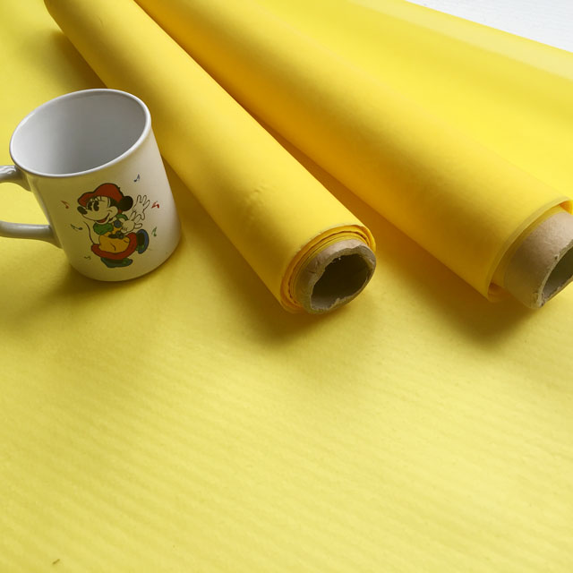 Quality Polyester Screen Printing Mesh/Bolting Cloth for Textile Printing